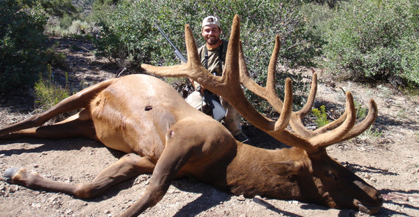 giant bull elk 