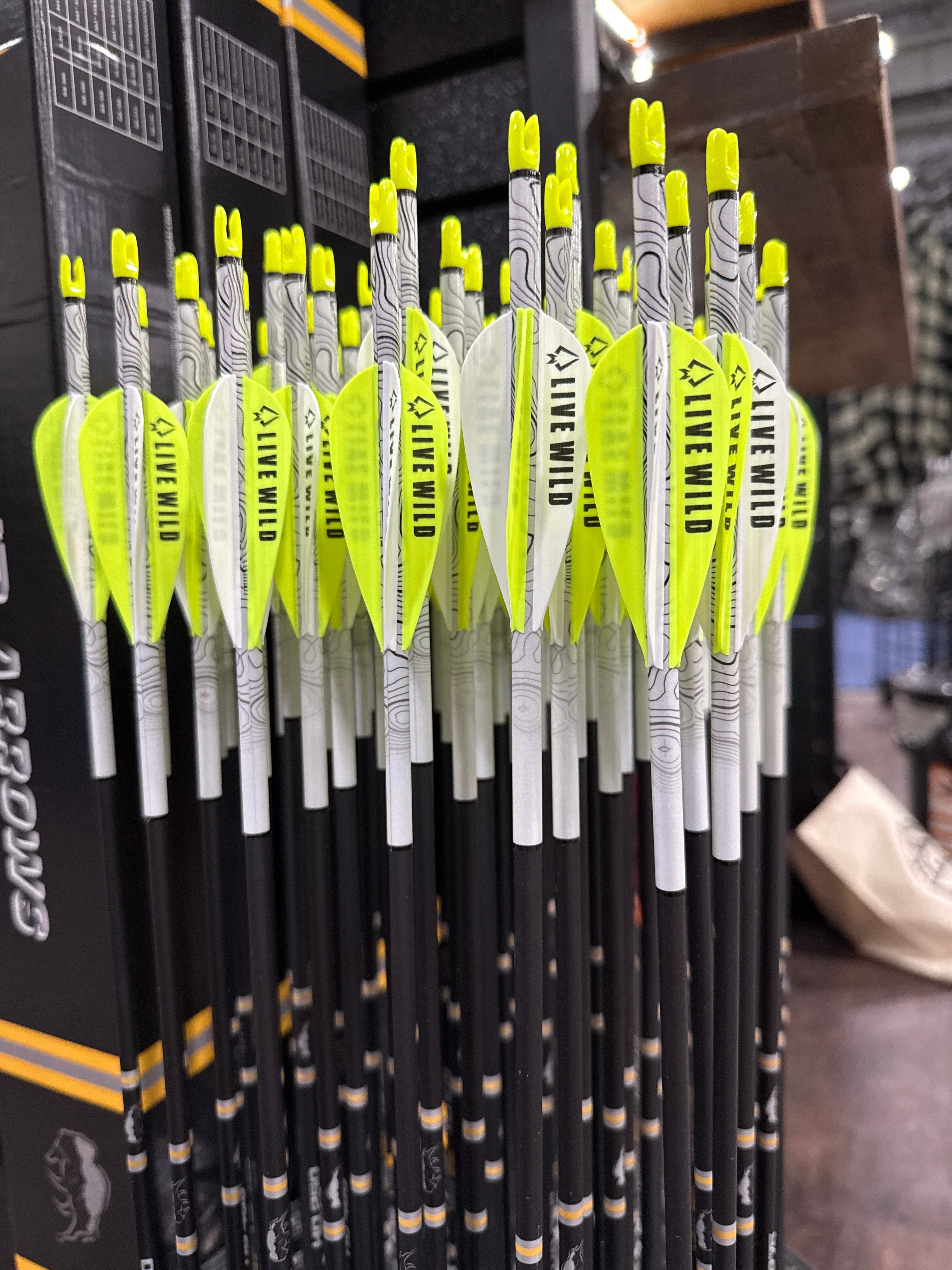 DaySix Arrows – Remi Warren