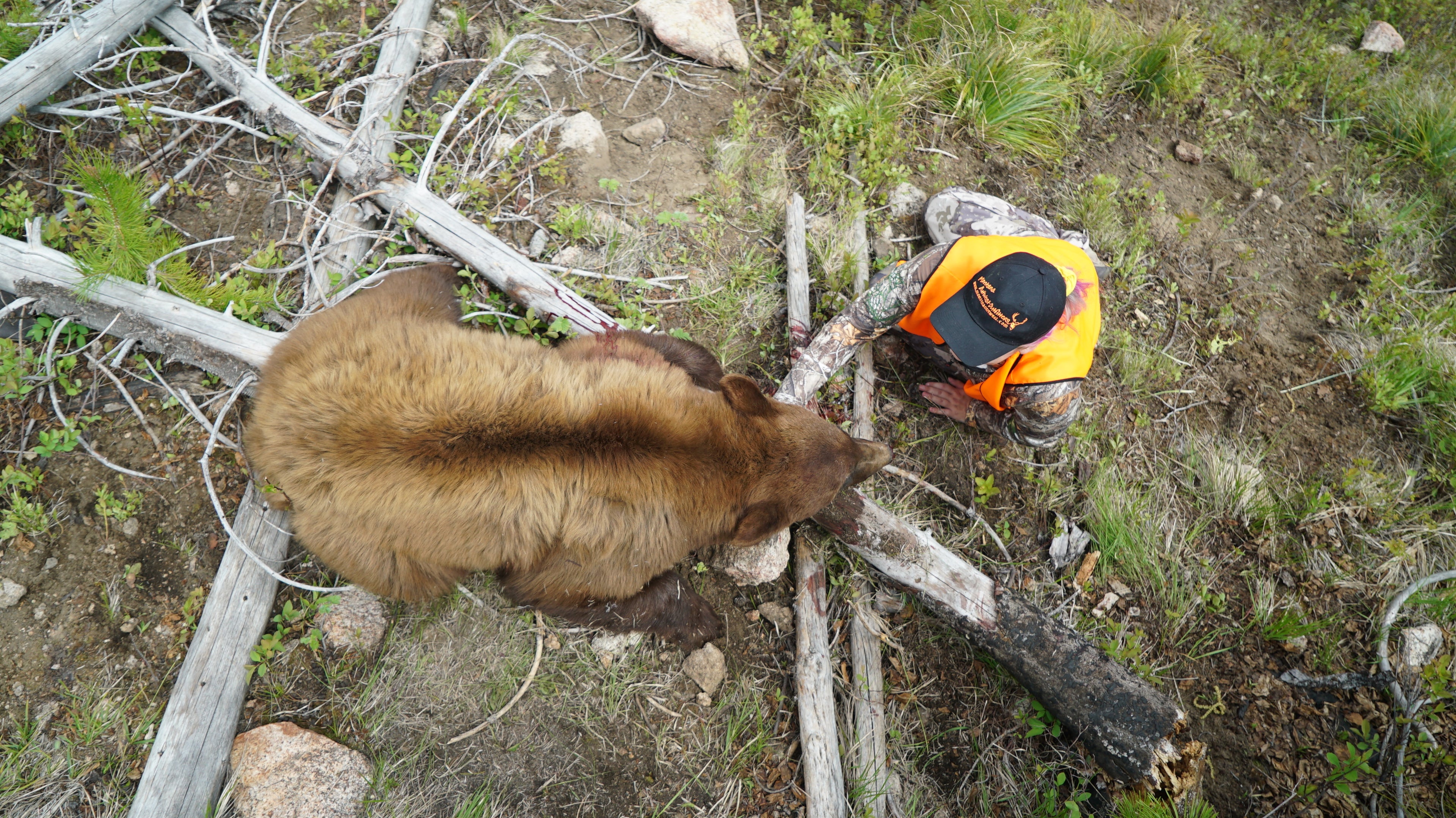 Spring Bear Hunting: Tips for Spot and Stalk Success