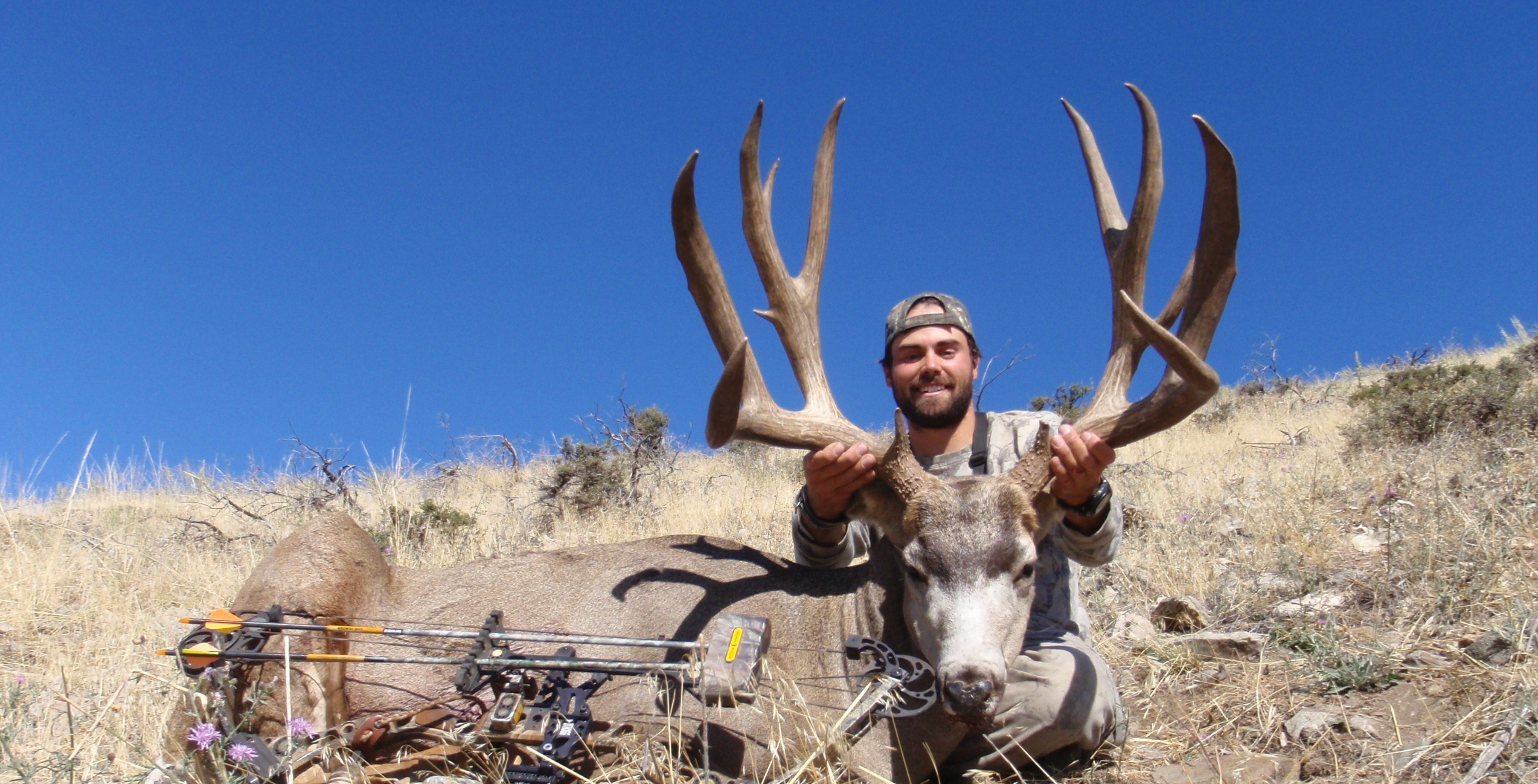 Giant Mule Deer while bowhunting