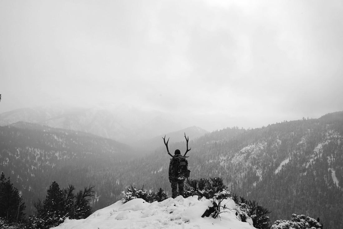 Backcountry Fuel