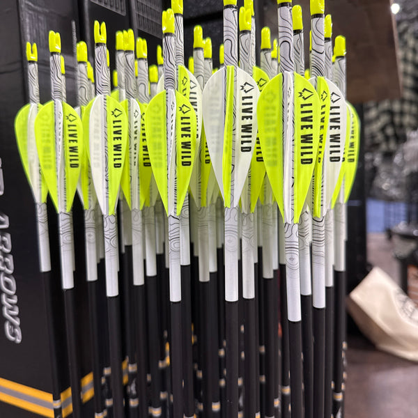 DaySix Arrows – Remi Warren