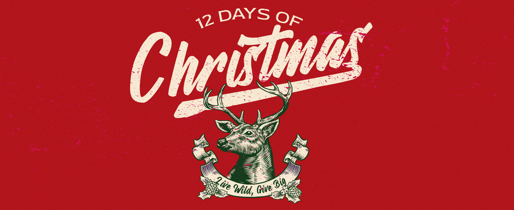 12 Days of Christmas – Remi Warren