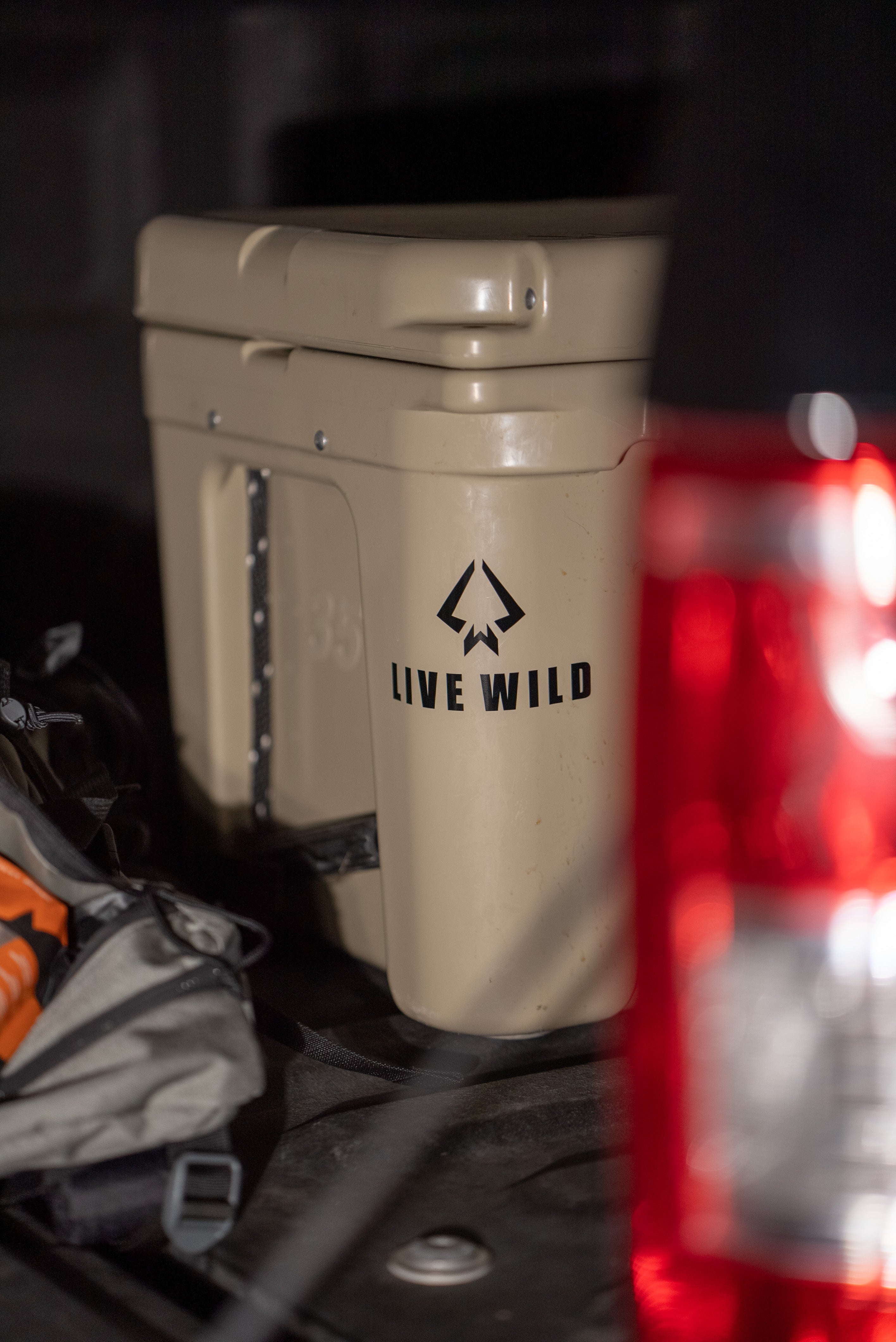 Live Wild Decal - Black
