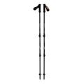 Guide X Trekking Poles