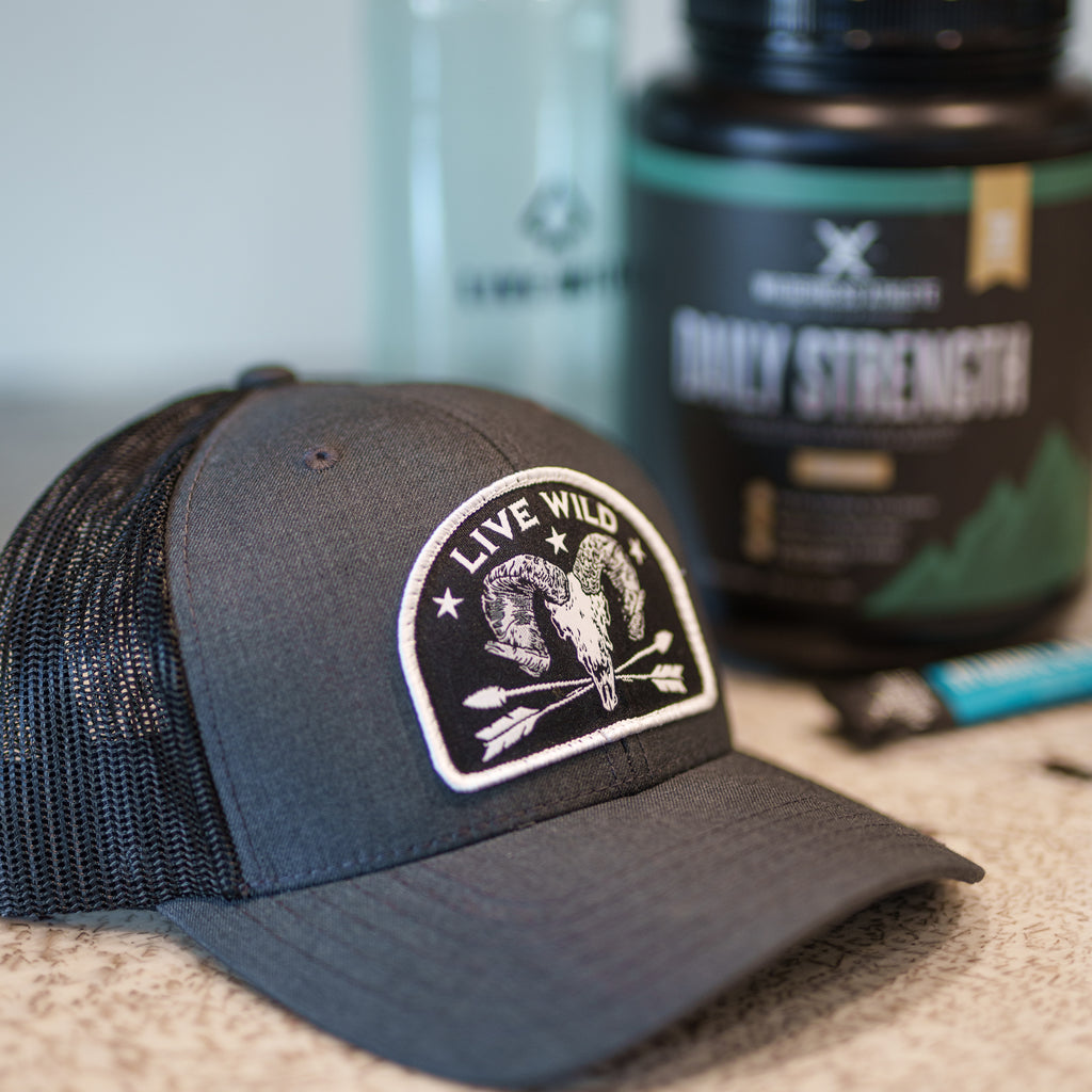 Live Wild Ram Hat - Charcoal