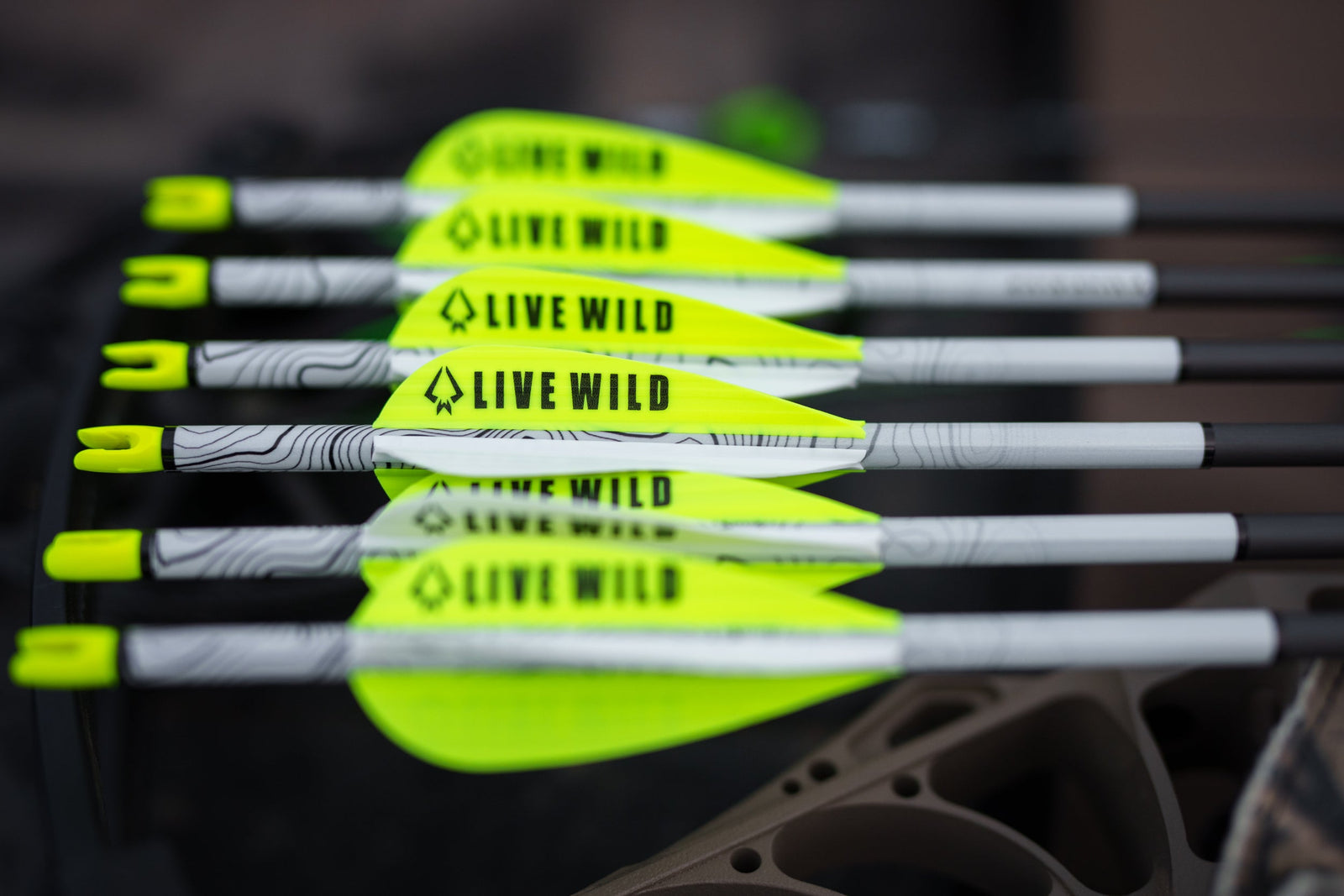 Remi Warren Live Wild HD Arrow - 1/2 Dozen Remi Warren Live Wild HD Arrow - 1/2 Dozen