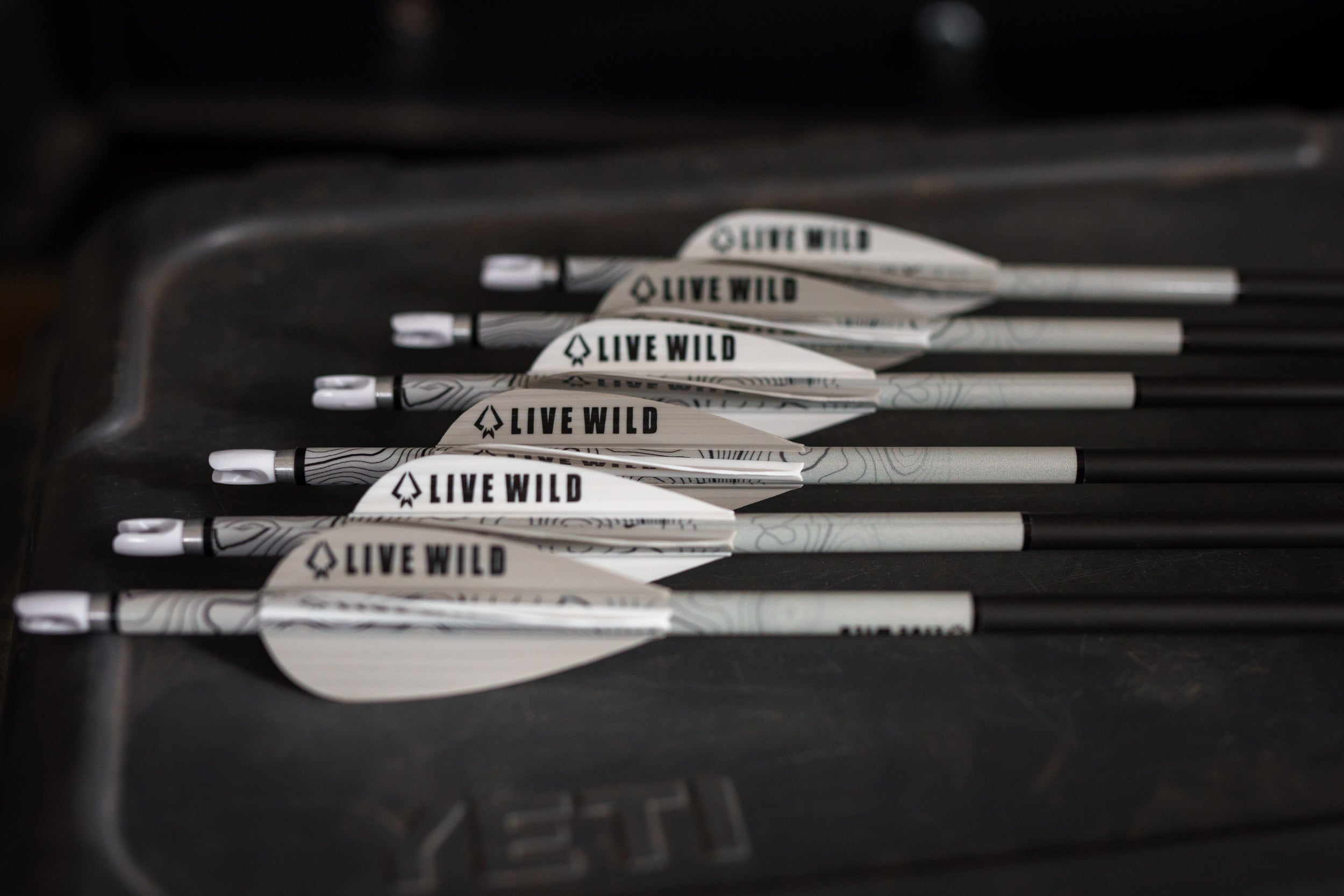 Remi Warren Live Wild XD Arrow - Dozen