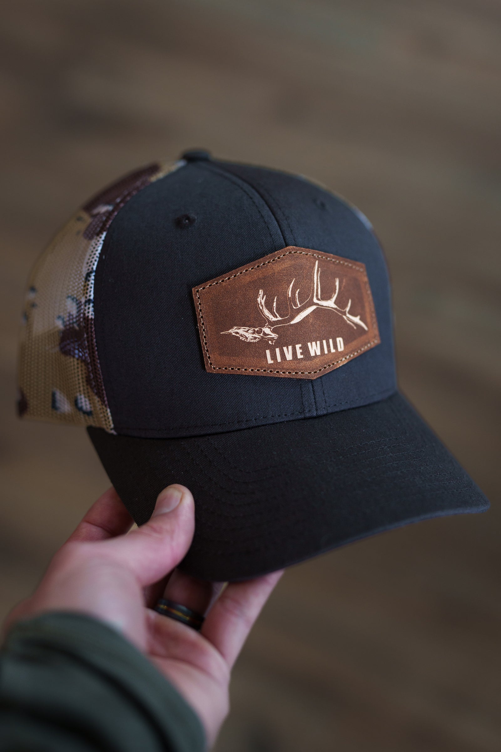 ChrisAuch_LiveWild-07748_1600x