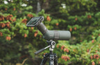 S1 Mini Digiscope Adapter